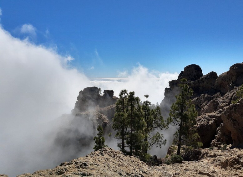 Picture 3 for Activity Gran Canaria: "Peaks of Gran Canaria" Hiking Tour