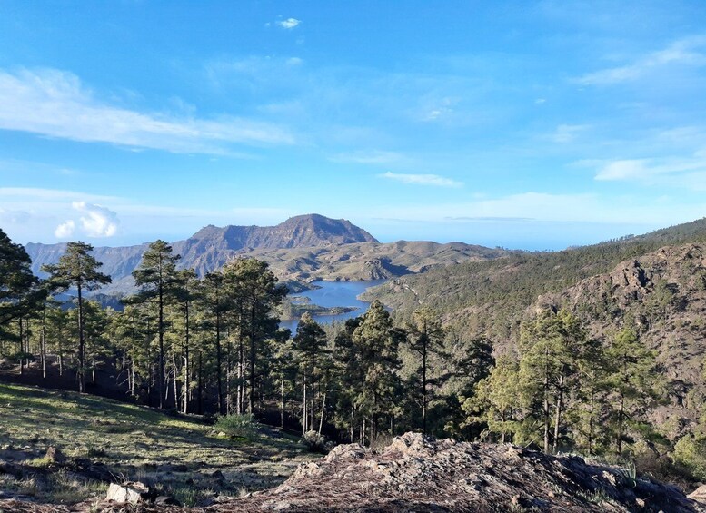 Picture 5 for Activity Gran Canaria: "Peaks of Gran Canaria" Hiking Tour