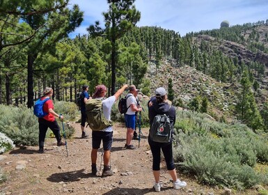 Gran Canaria: recorrido de senderismo por los «Picos de Gran Canaria»