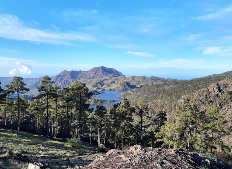 Picture 5 for Activity Gran Canaria: "Peaks of Gran Canaria" Hiking Tour