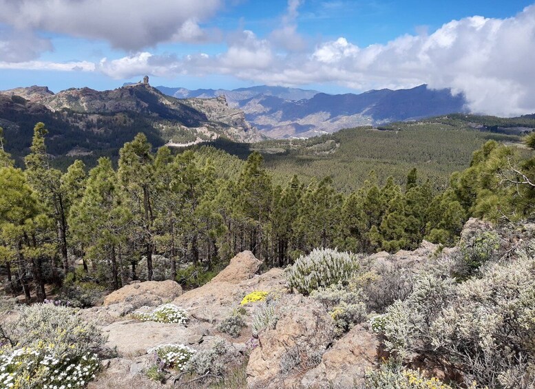 Picture 4 for Activity Gran Canaria: "Peaks of Gran Canaria" Hiking Tour