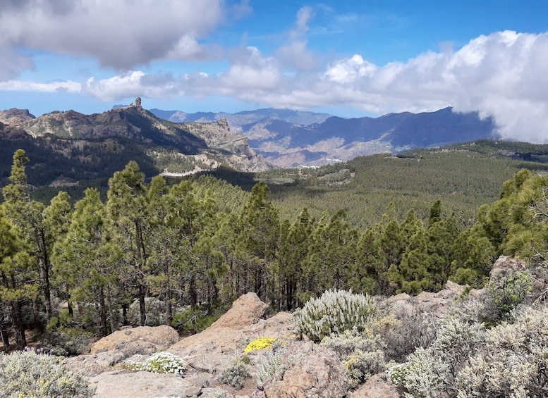Picture 4 for Activity Gran Canaria: "Peaks of Gran Canaria" Hiking Tour