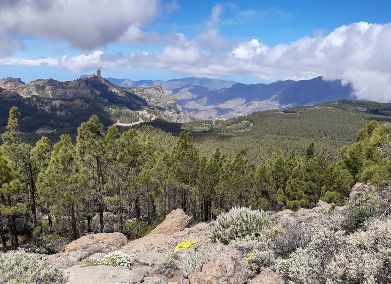 Picture 4 for Activity Gran Canaria: "Peaks of Gran Canaria" Hiking Tour