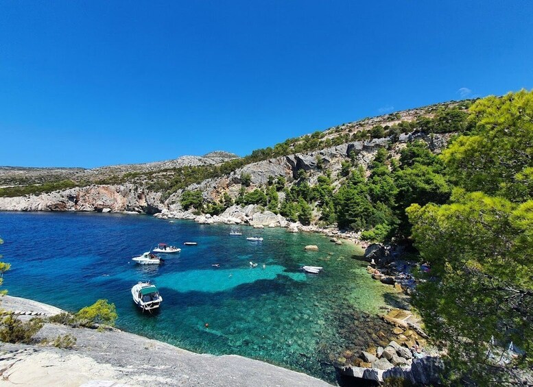 Picture 3 for Activity South Hvar and Pakleni Islands Private Full-Day Boat Tour