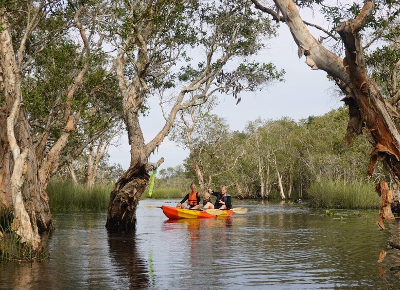 Picture 6 for Activity From Pattaya: Private Rayong Adventure Hike and Kayak Trip