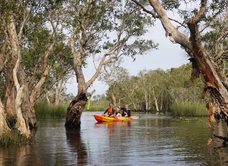 Picture 6 for Activity From Pattaya: Private Rayong Adventure Hike and Kayak Trip