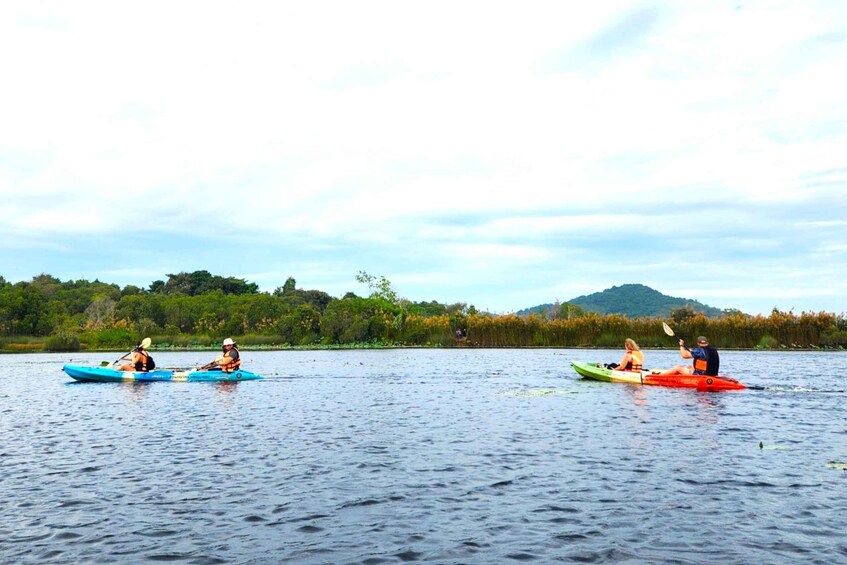 Picture 9 for Activity From Pattaya: Private Rayong Adventure Hike and Kayak Trip