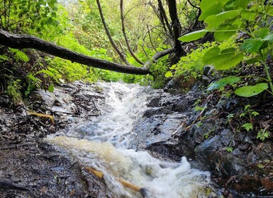 Gran Canaria: recorrido de senderismo por las «cascadas mágicas»