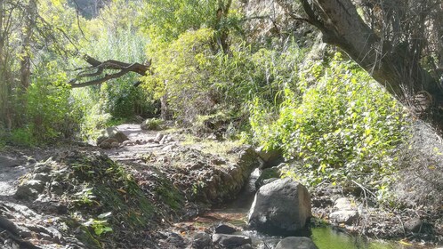 Gran Canaria: "Magic Waterfalls" vaellusretki