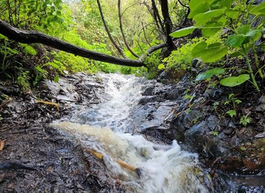 Gran Canaria: Vandringstur "Magiska vattenfall"