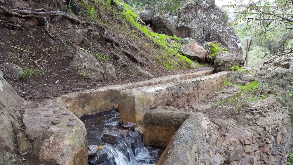 Picture 4 for Activity Gran Canaria: "Magic Waterfalls" Hiking Tour