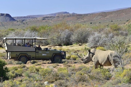 Cape Town - Overnight Sanbona Safaris Game Reserve Tour