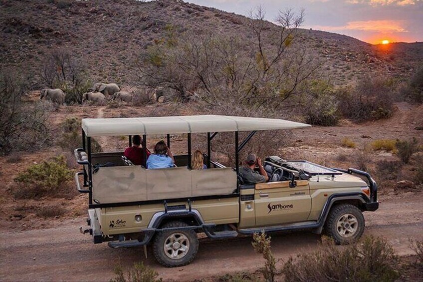 Cape Town - Overnight Sanbona Safaris Game Reserve Tour