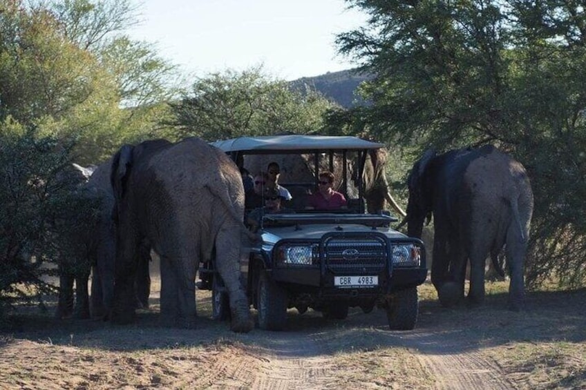Cape Town - Overnight Sanbona Safaris Game Reserve Tour 