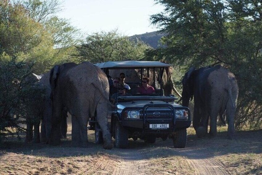 Cape Town - Overnight Sanbona Safaris Game Reserve Tour