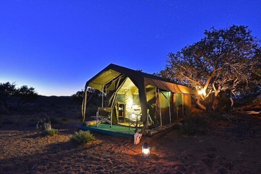 Cape Town - Overnight Sanbona Safaris Game Reserve Tour 