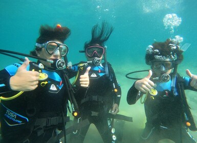 ナクソス島アギオス・ゲオルギオス・ビーチでスキューバダイビングを発見