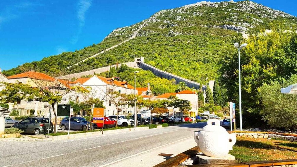 Picture 4 for Activity From Dubrovnik: Majkovi Village and Ston Private Food Tour