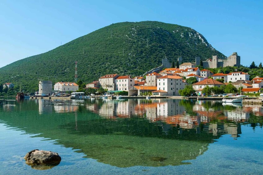 Picture 3 for Activity From Dubrovnik: Majkovi Village and Ston Private Food Tour