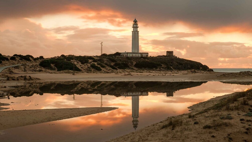 Picture 3 for Activity 1 Day for Vejer and the South Beaches of Cádiz in SUV (4x4)