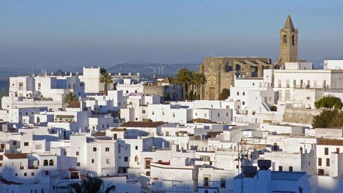 1 Tag für Vejer und die Südstrände von Cádiz im SUV (4x4)