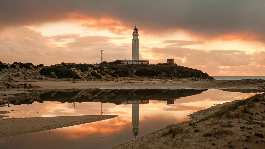 Picture 3 for Activity 1 Day for Vejer and the South Beaches of Cádiz in SUV (4x4)