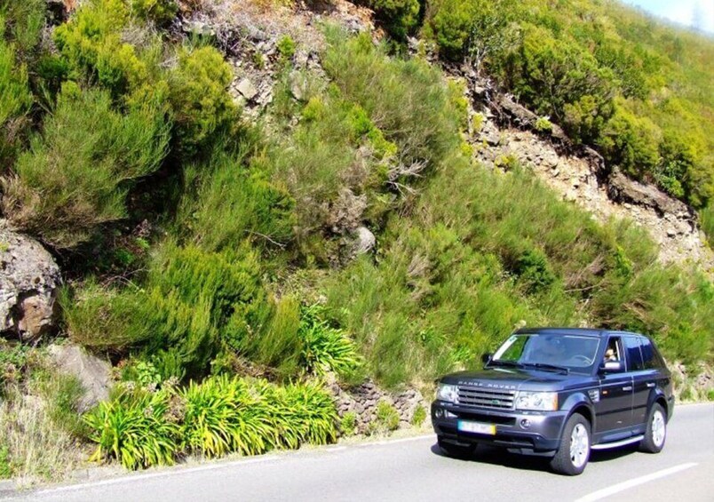 Picture 4 for Activity Madeira: Half-Day Private 4-Wheel-Drive Expedition