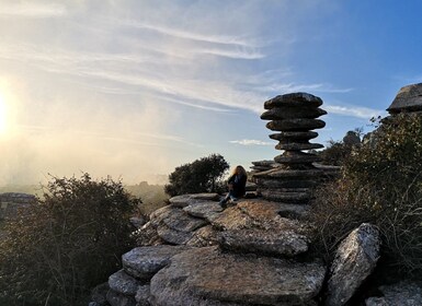 Málaga: excursión guiada de un día a los dólmenes y El Torcal de Antequera