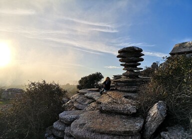 Málaga: Excursión guiada de un día a los Dólmenes y El Torcal de Antequera