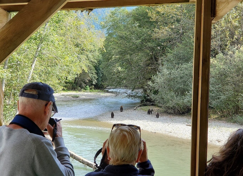 Campbell River: Grizzly Bear-Watching Tour with Lunch