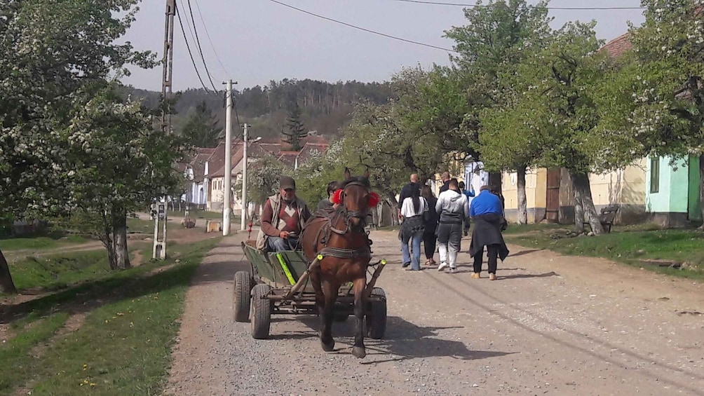 Picture 9 for Activity From Brasov: Sighisoara, Viscri, and Rupea Unesco Day Trip