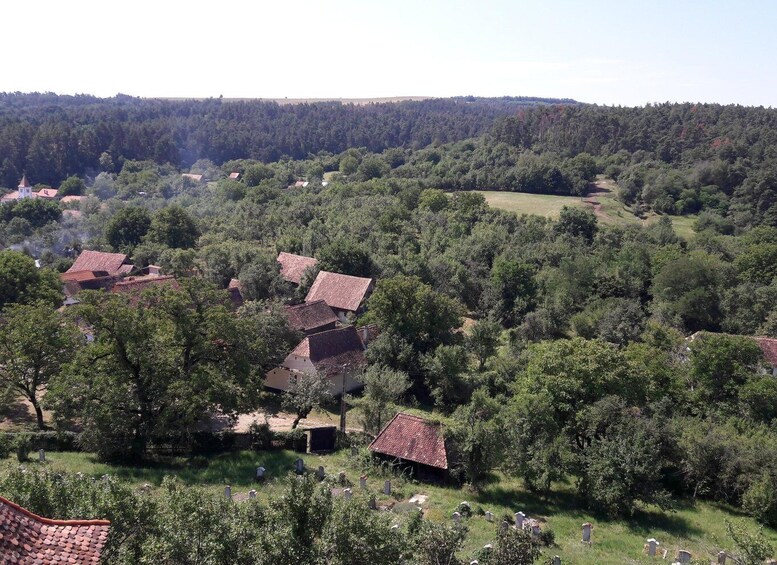 Picture 8 for Activity Unesco Tour: Sighisoara, Viscri, and Rupea From Brasov