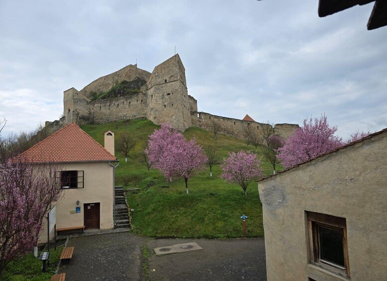 Picture 16 for Activity From Brasov: Sighisoara, Viscri, and Rupea Unesco Day Trip