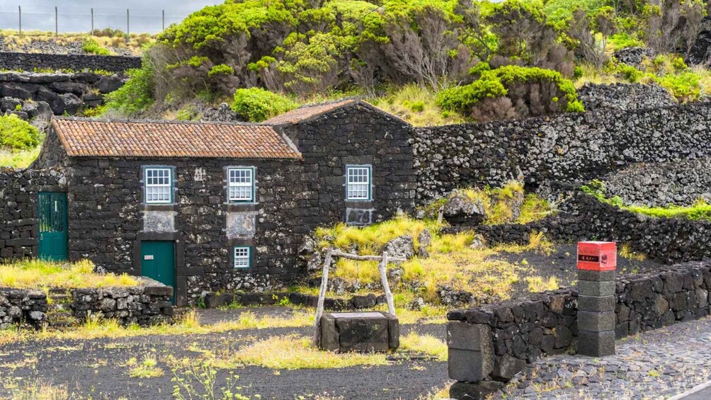 Azores: Wine Tasting Tour on Pico Island