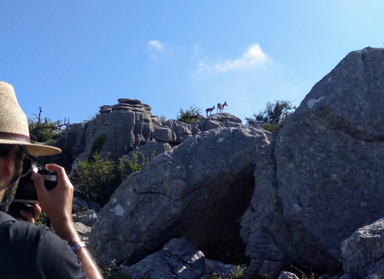 Picture 4 for Activity El Torcal de Antequera Hike with Transfer