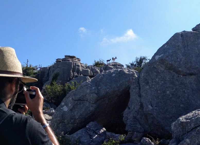 Picture 4 for Activity El Torcal de Antequera Hike with Transfer