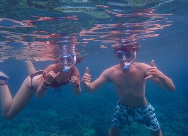 Turtle Town Clear Kayak & Snorkel Tour (7am-9:30am)