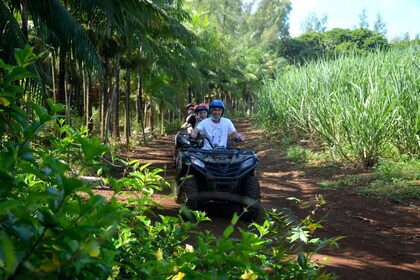 2-stündige Quad-Bike-Tour durch den wilden Süden von Mauritius