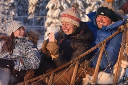 Sleigh Dog Sampler Ride in Fairbanks