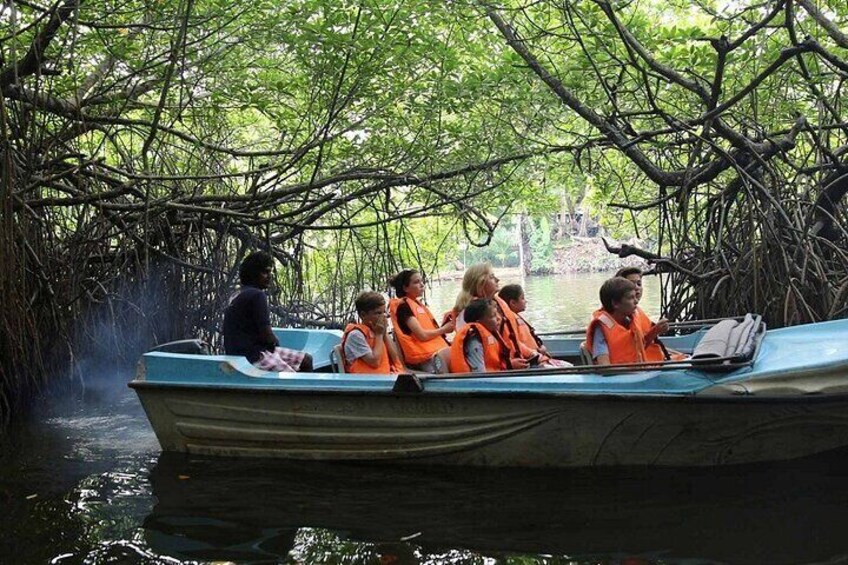 Boat Safari Bentota