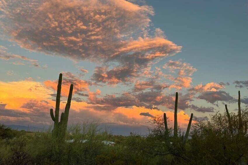 Desert Sunset 