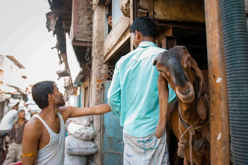 Picture 6 for Activity Dharavi Tour Including Car Transfer