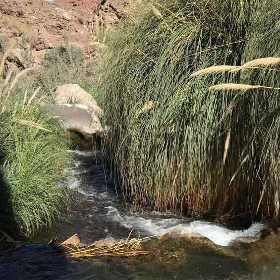 Picture 15 for Activity San Pedro de Atacama: Canyon Swimming Pools Trekking Trip