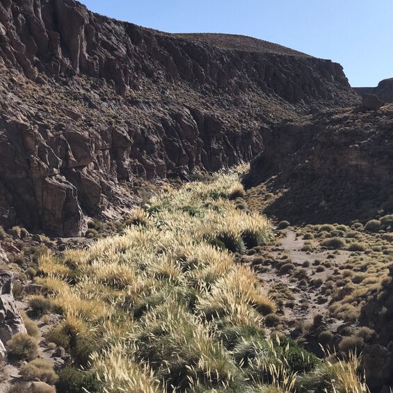 Picture 7 for Activity San Pedro de Atacama: Canyon Swimming Pools Trekking Trip