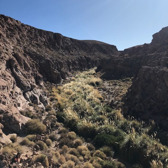 Picture 6 for Activity San Pedro de Atacama: Canyon Swimming Pools Trekking Trip