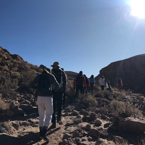 Picture 4 for Activity San Pedro de Atacama: Canyon Swimming Pools Trekking Trip