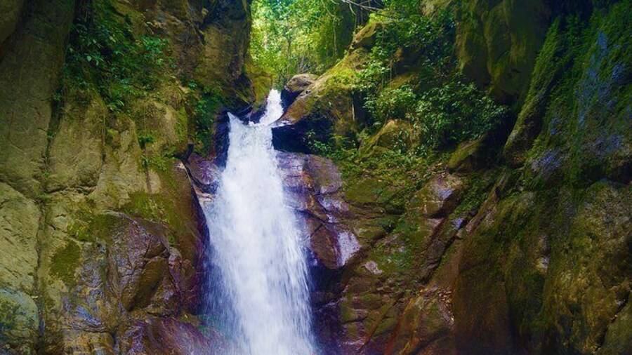 Private Tour - Piedecuesta Waterfall