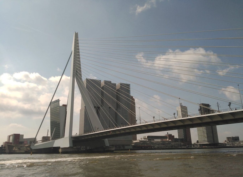 Picture 4 for Activity Rotterdam Architecture: Centre and South Bank with watertaxi