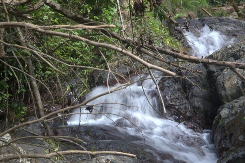 Rainforest Tour in San Juan Puerto Rico