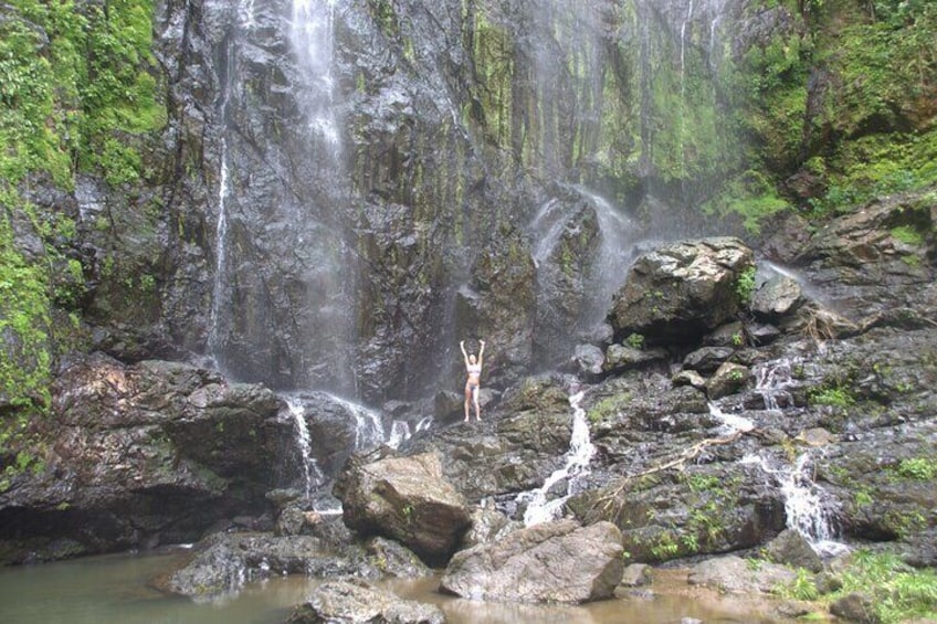 Rainforest Tour in San Juan Puerto Rico